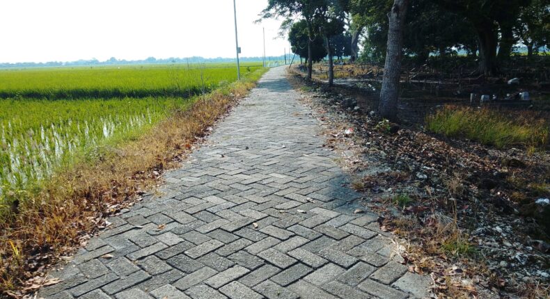 foto slider headline