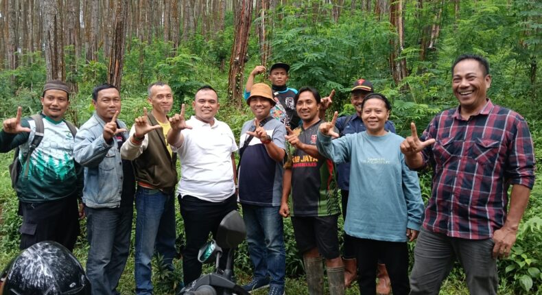 foto slider headline