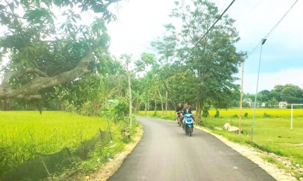 foto slider headline