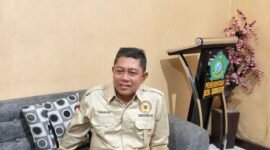 oplus_136314882